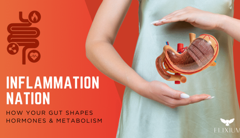 Inflammation Nation: How Your Gut Shapes Hormones & Metabolism