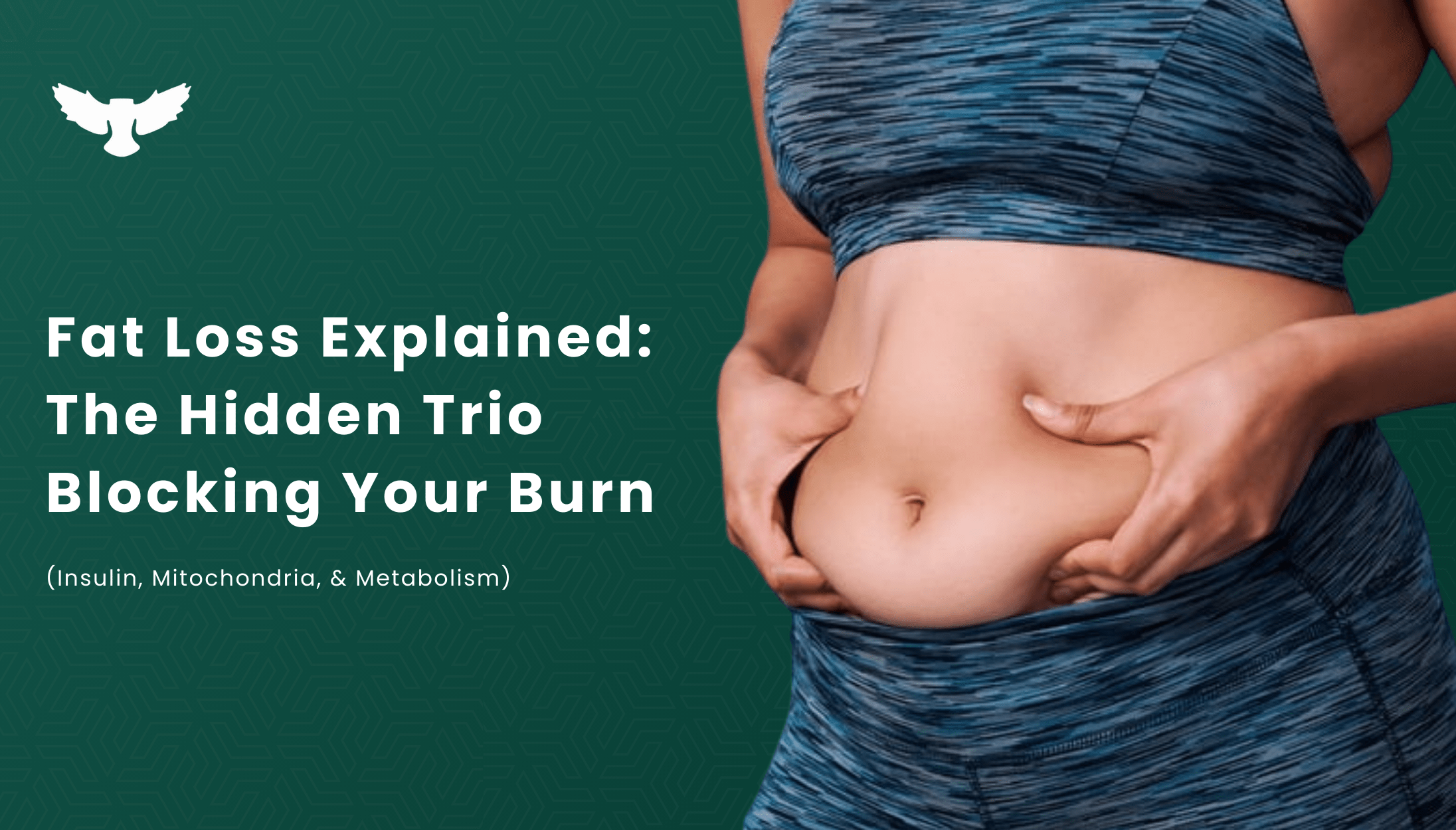 Fat Loss Explained: The Hidden Trio Blocking Your Burn (Insulin, Mitochondria, & Metabolism)